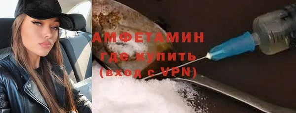PSILOCYBIN Вяземский
